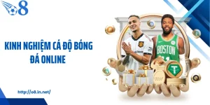 Kinh Nghiệm Cá Độ Bóng Đá Online Giúp Tối Ưu Hiệu Quả